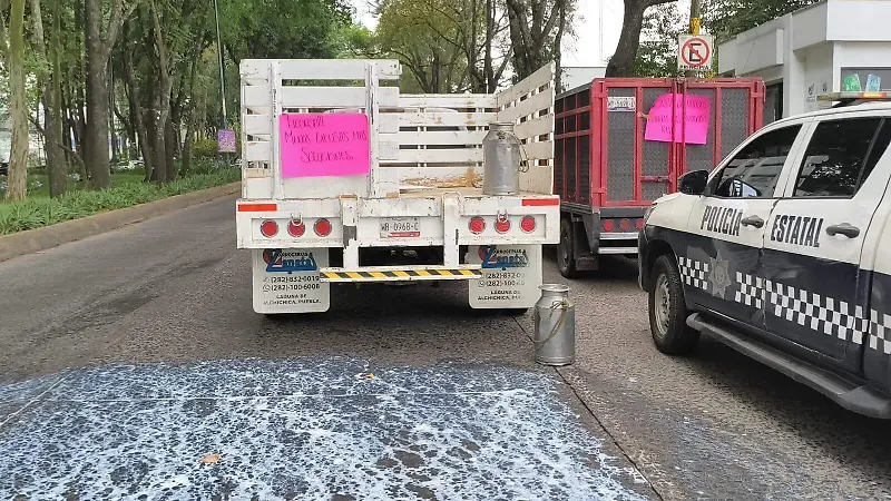 Productores de leche